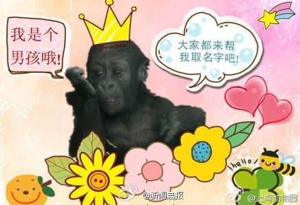 每日轻松一刻(4月25日午间)