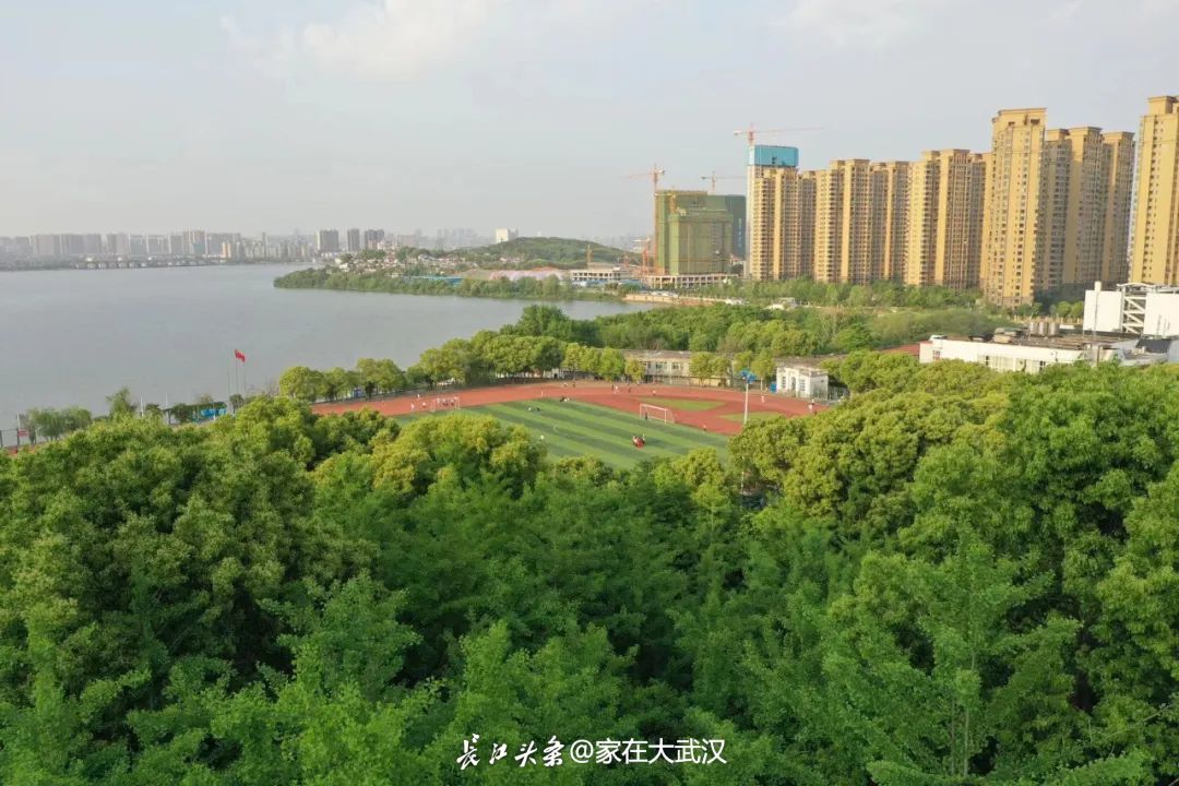 中国十大美丽湖畔校园！武汉这所大学最新航拍，美