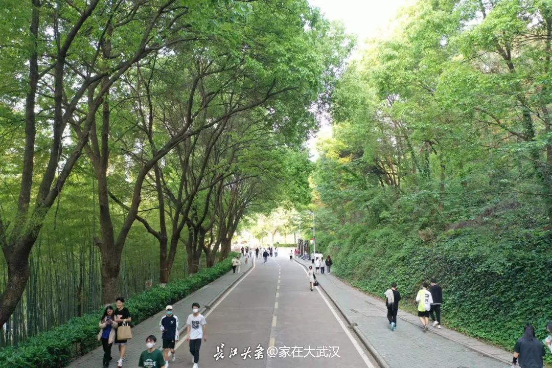 中国十大美丽湖畔校园！武汉这所大学最新航拍，美