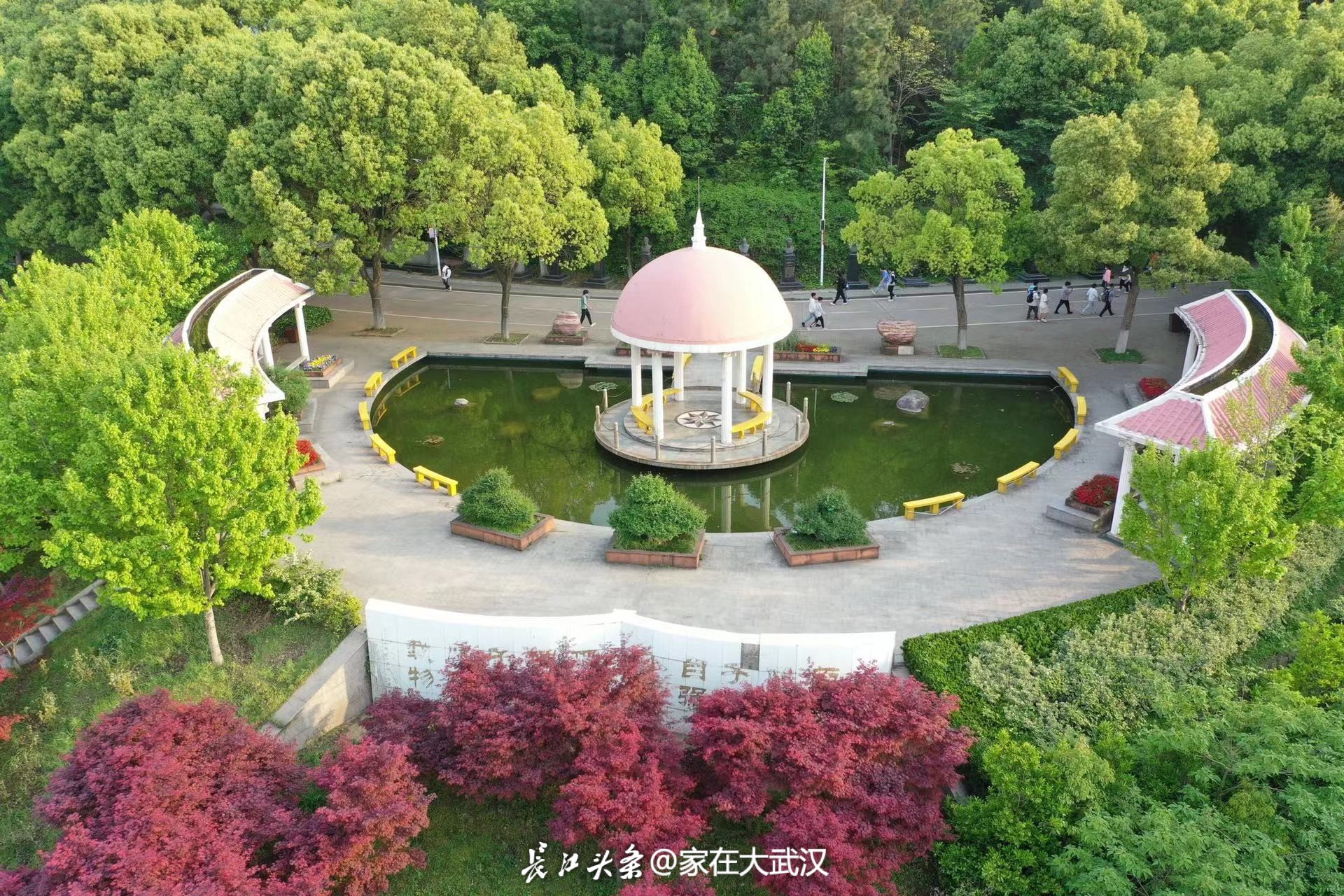 中国十大美丽湖畔校园！武汉这所大学最新航拍，美